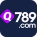 Q789 Game
