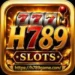 H789 Game
